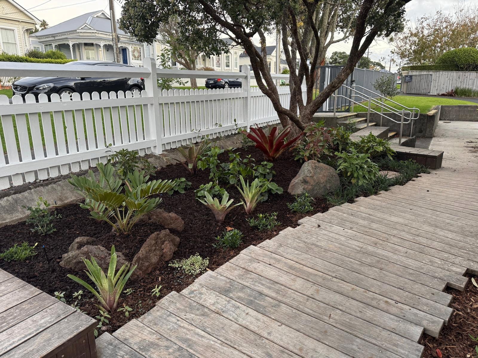 Street-side tropical front garden with bromeliads, zamia and timber boardwalk