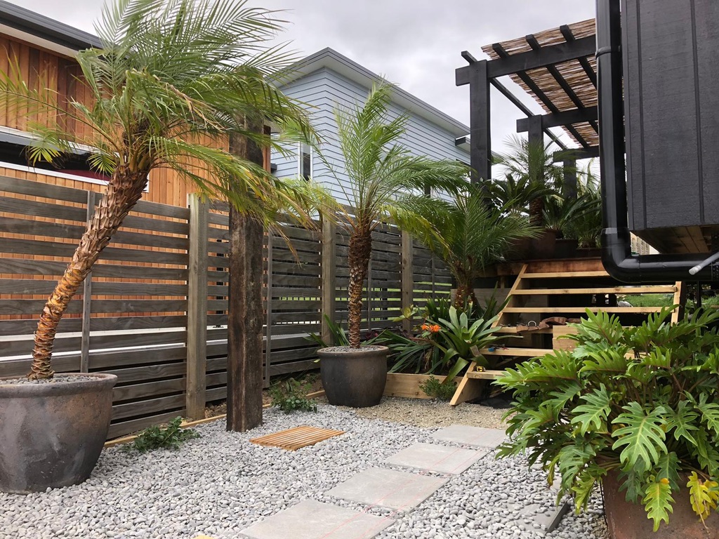 Courtyard garden with palms in pots, pebble paving, timber slat fence and pergola